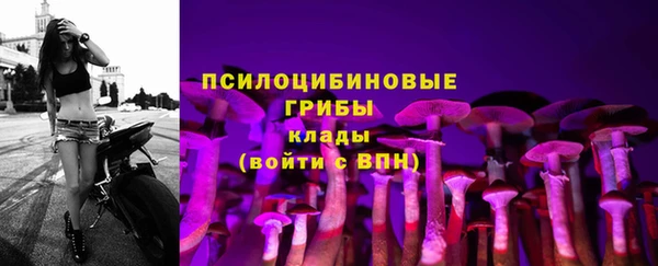спайс Арсеньев