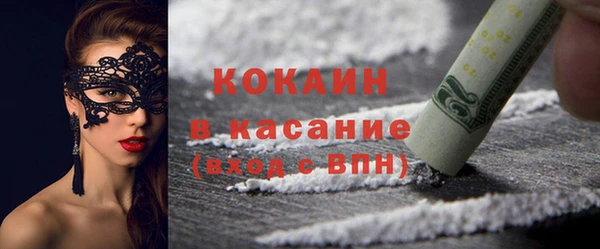 хмурый Аркадак