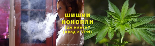хмурый Аркадак
