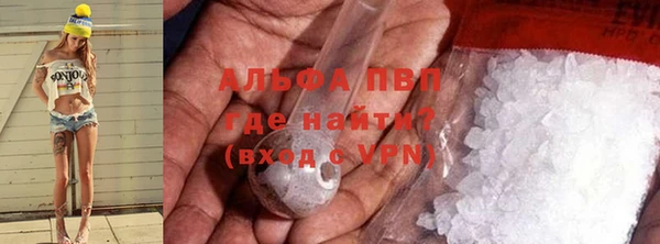 хмурый Аркадак