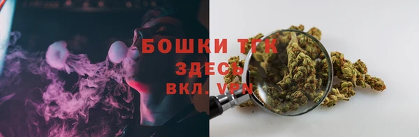 спайс Арсеньев