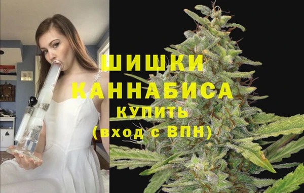 хмурый Аркадак