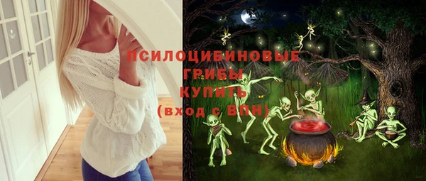 ПСИЛОЦИБИНОВЫЕ ГРИБЫ Армянск