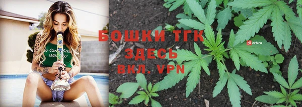 ПСИЛОЦИБИНОВЫЕ ГРИБЫ Армянск