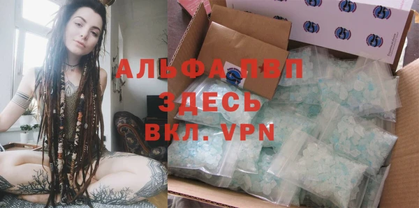 хмурый Аркадак