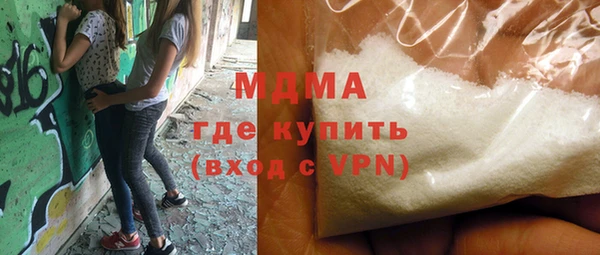 хмурый Аркадак