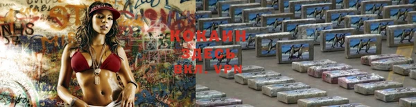 спайс Арсеньев
