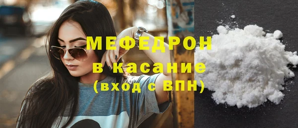 хмурый Аркадак
