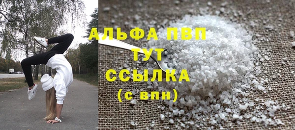 хмурый Аркадак