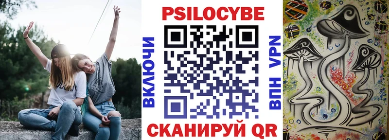 Псилоцибиновые грибы мицелий  Никольск 