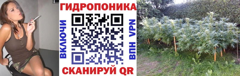 Каннабис конопля Никольск
